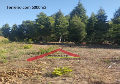 Terreno em Nariz